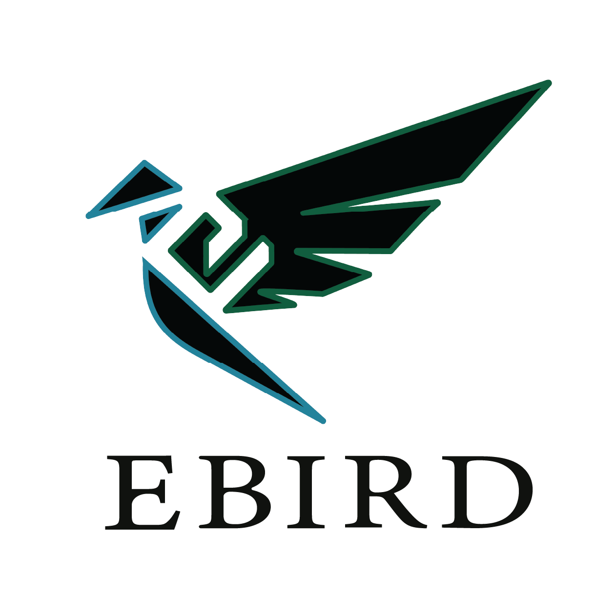 EBIRD